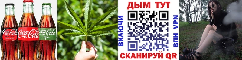 Canna-Cookies марихуана  это состав  Узловая 