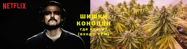 трава Алзамай