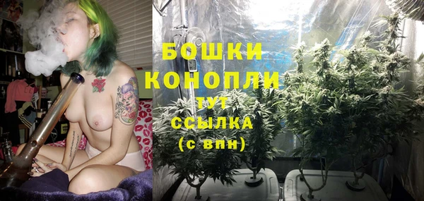 трава Алзамай