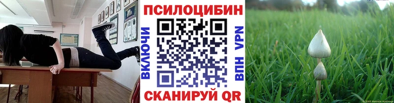 купить наркотик  Узловая  Галлюциногенные грибы GOLDEN TEACHER 